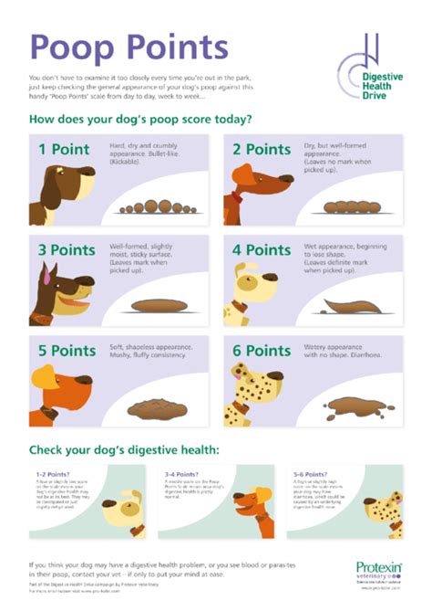 Stool Quality Chart For Dog Poop Dog Poo Chart What The Colour Is