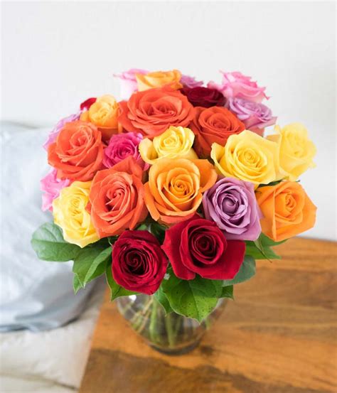 We did not find results for: Two Dozen Rainbow Roses at From You Flowers