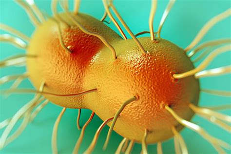 Chlamydia And Gonorrhea Responsible For 10 Of New Hiv Infections Among