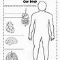 Free Human Body Printables For Kindergarten