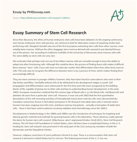 Essay Summary Of Stem Cell Research