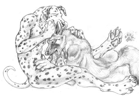 Rule 34 Anthro Blotch Canine Canine Penis Dalmatian Fur Furry Furry