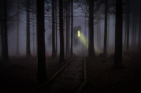 Foggy Mist Forest Trees Spooky Haunted Wooden House Building