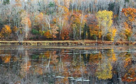 Reflections Of Late Fall Photograph By On The Go Candace Daniels Fine