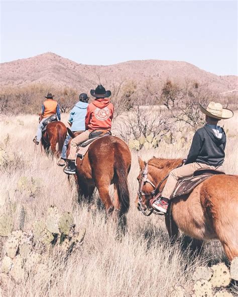 Horseback Riding In Arizona When In Your State