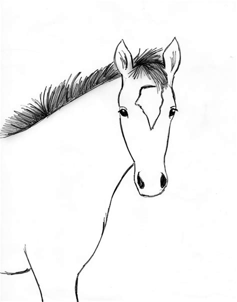 Horse Drawing Step By Step Samantha Bell