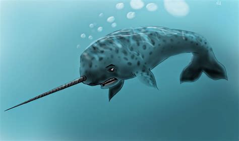 The Secret Base Of The Rebel Black Dot Society Narwhal Day