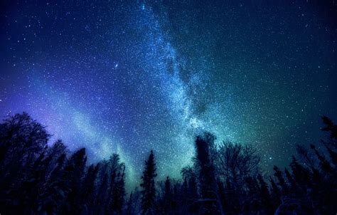Wallpaper Forest Space Stars Trees The Milky Way Mystery Images