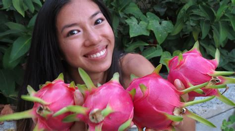 The plant's name comes from the greek word. How to Pick and Eat a Dragon Fruit - YouTube