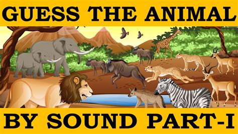 Can You Guess The Animal By Sound Guess The Animal Sound Guess The
