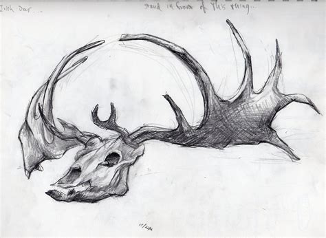 Elk Head Sketch At Explore Collection Of Elk Head