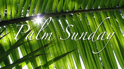 The Stuff Of Legend Bible Verse Sunday 71 And Palm Sunday 2014