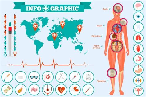 Medical Infographic Set — Stock Vector © Macrovector 64857487