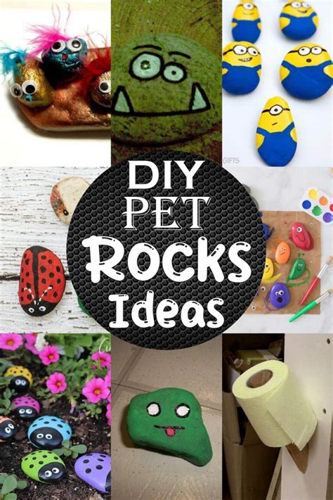 24 Diy Pet Rocks Ideas For Kids Fun Diyncrafty