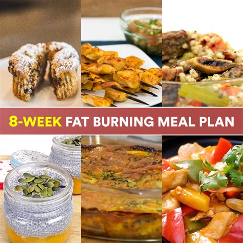 8 Week Fat Burning Meal Plan