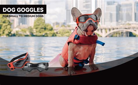 Dog Goggles Medium Breed Dog Sunglasses Small Breed Dog