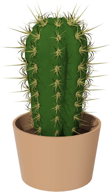 Cactus Png Image Transparent Image Download Size 438x749px