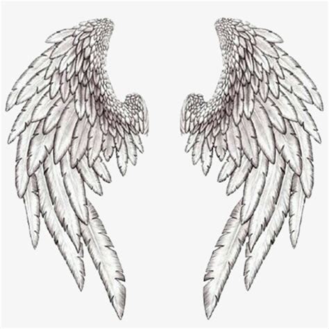 Realistic Angel Wings Drawings