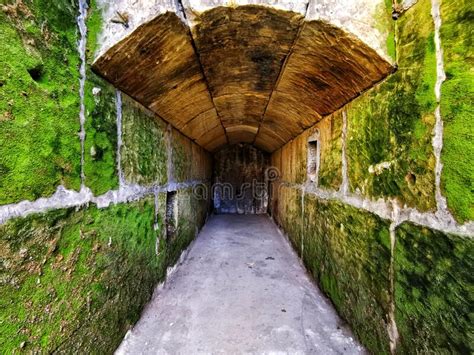 Dead End Tunnel With Walls Overgrown With Moss Stock Image Image Of