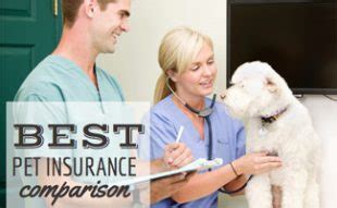 Pet Insurance Reviews 2019: Cost & Coverage Comparisons