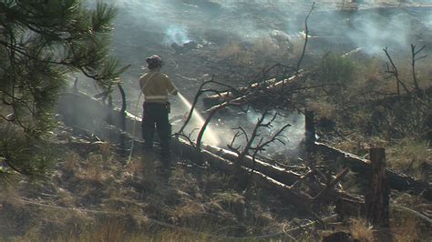 Despite Hot And Dry Conditions Bc Wildfire Reports Lower Than Average