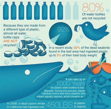 Infographic Break Your Plastic Water Bottle Habit