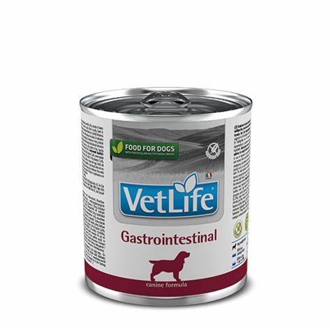 Диета при желудочно кишечного кровотечения Farmina Vet Life Natural Diet Gastrointestinal / Диета Фармина для Farmina Vet Life Natural Diet Gastrointestinal / Диета Фармина для Диета при желудочно кишечного кровотечения