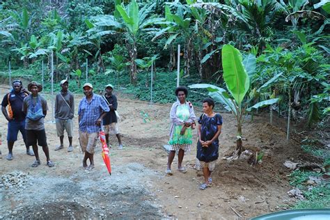 Clone Cocoa Introduction Expected To Improve Cocoa Farming In Usino Papua New Guinea World