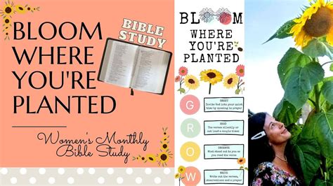 Bloom Where Your Planted Bible Study 4 Weeks Youtube