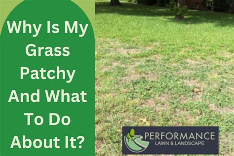 What To Do On Patchy Grass Performance Lawn And Landscape