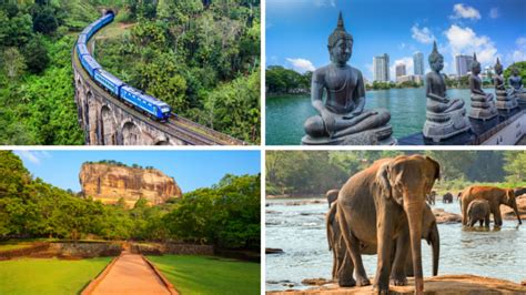 Top Reasons To Visit Sri Lanka Why Do Tourists Visit Sri Lanka