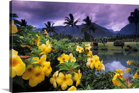 Hawaii Maui Yellow Flowers At The Waikapu Valley Tropical Plantation