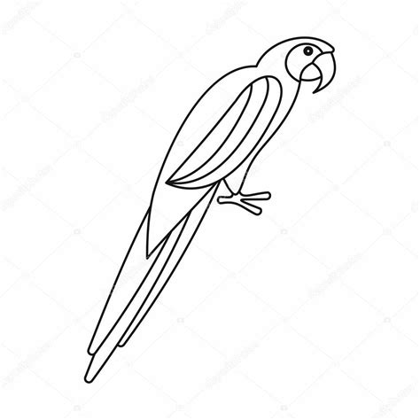 Parrot Drawing Outline At Getdrawings Free Download