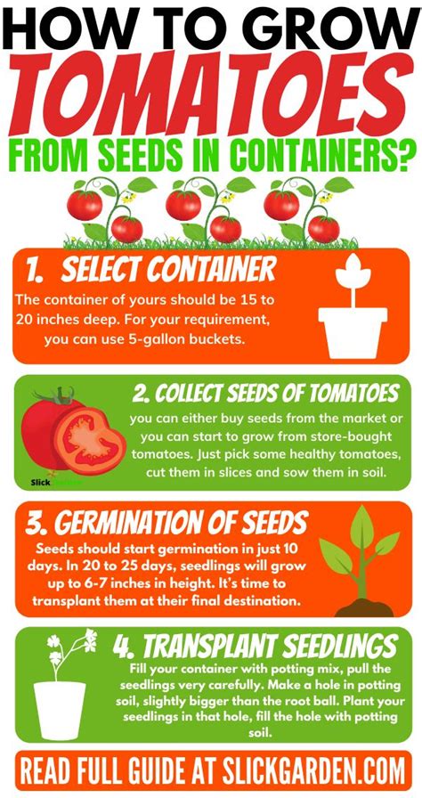 How To Grow Tomatoes From Seeds In Containers Grow Seeds In Pots
