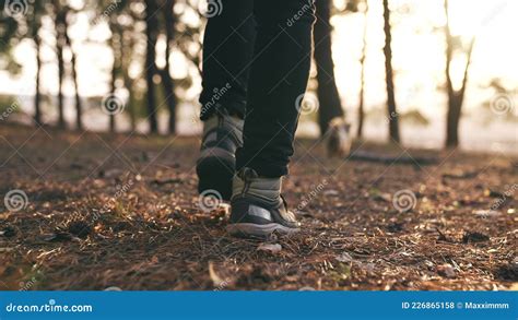 Hiker Feet Walking The Dog In The Park Forest Travel Concept Close Up