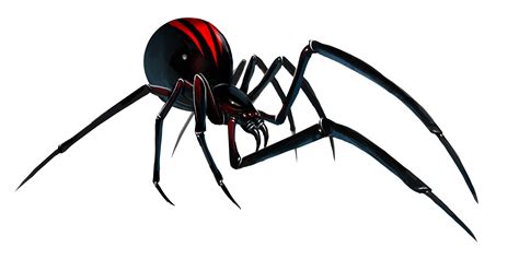 Black Widow Spider Clipart 20 Free Cliparts Download Images On