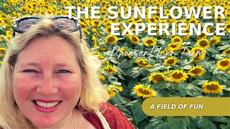 The Sunflower Experience A Unique Place To Have Fun Youtube
