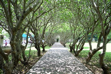 ถนนลอยฟ้า พิกัด โค้งเลข 3 จ.น่าน อยู่ถนนหมายเลข 1081 เดินทางมาจาก อ.สันติสุข ไป อ.บ่อเกลือ อีกหนึ่งเส้นทางที่สวยงามและพิกัดเช็คอินที่ hot สุดของนัก. น่าน-พะเยา-ตามหาถนนลอยฟ้า-นาขั้นบันได-แถมเนินมะปราง ทริป ...