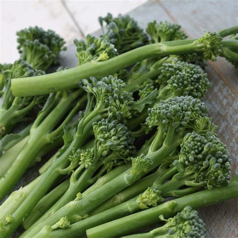 Green Sprouting Calabrese Broccoli Seeds Farmhouse Seeds
