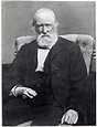 Theodor Storm, c.1886 - German Photographer en reproduction imprimée ou ...