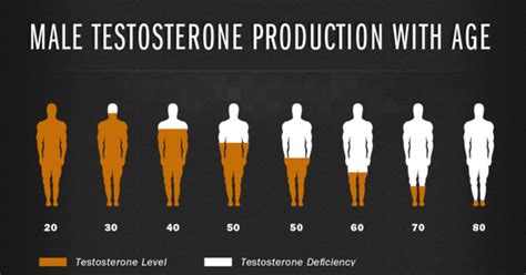 How To Boost Your Testosterone Levels Naturally Hubpages