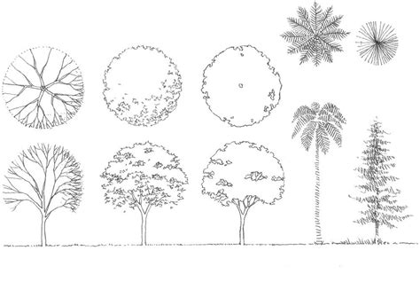 Ideas Para Diseñar árboles En Paisajismo Y Arquitectura