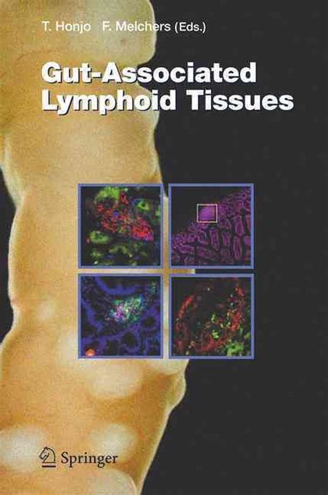 Gut Associated Lymphoid Tissues By Tasuku Honjo English Hardcover