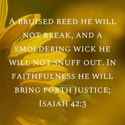 Isaiah 423 A Bruised Reed He Will Not Break And A Smoldering Wick He