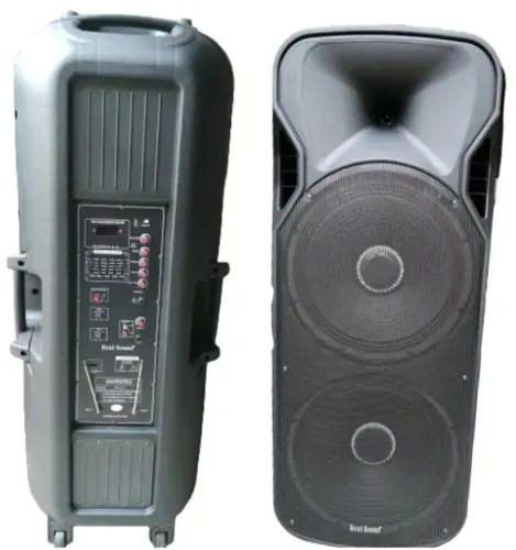 Rechargeable Public Address System With Bluetooth 2 Microphones Usb