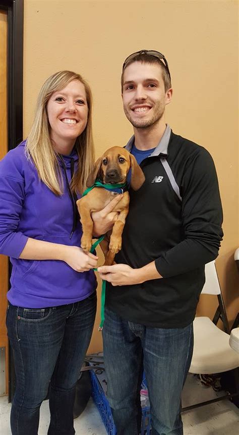 Our friendly and knowledgeable staff is involved in many activities from volunteering for rescue organizations to training and showing dogs. HART of Cincinnati Animal Rescue | Best4Pets
