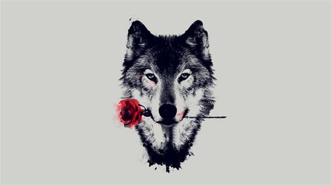 Cool Wolf Wallpaper 61 Images