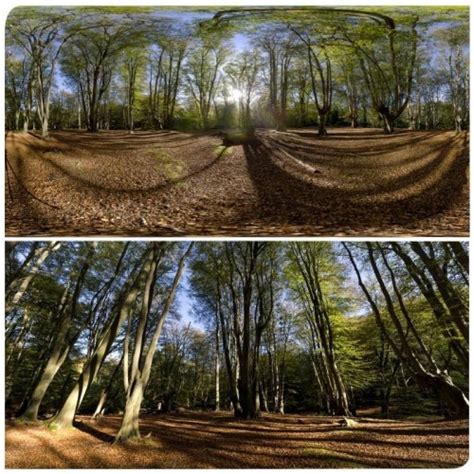 360 Hdri Panorama Of Epping Forest 2 In High 30k 15k Or 4k Resolution