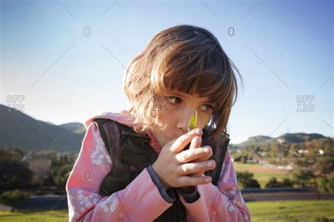 Girl Whistling With A Grass Blade Pressed Between Her Thumbs Stock