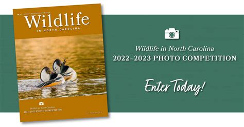 Wildlife In North Carolina 2022 23 Photo Competition Announced Nc